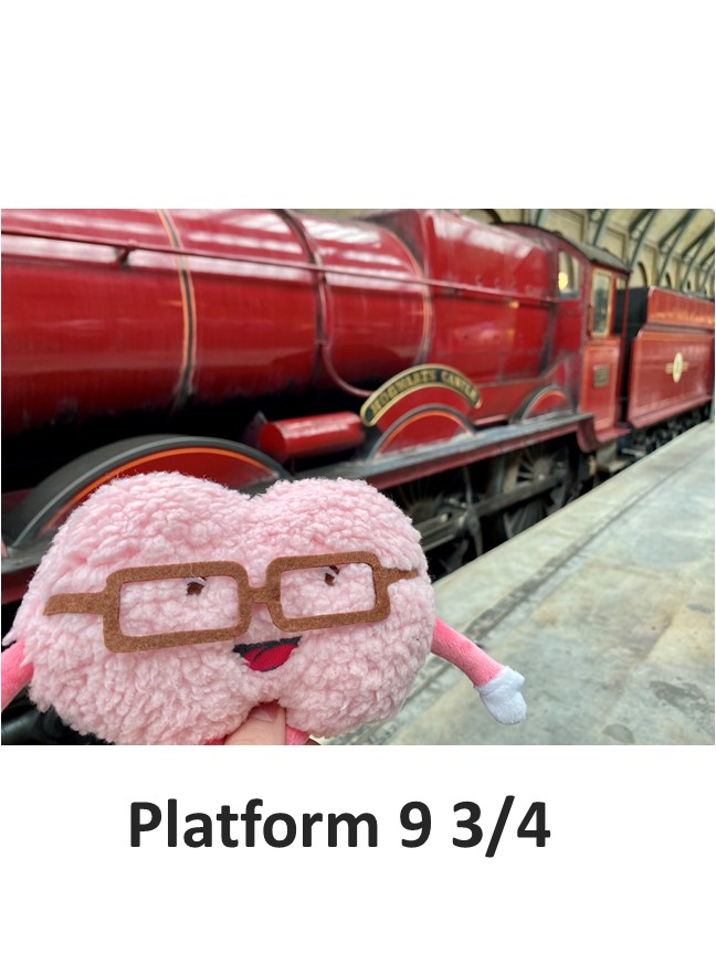 Mini-brain on platform 9 3/4