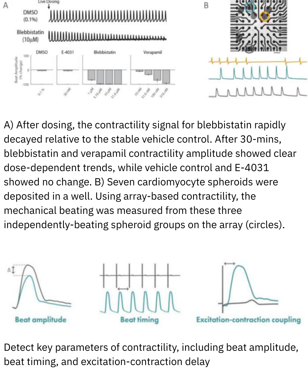 Interpreting Cardiac MEA data