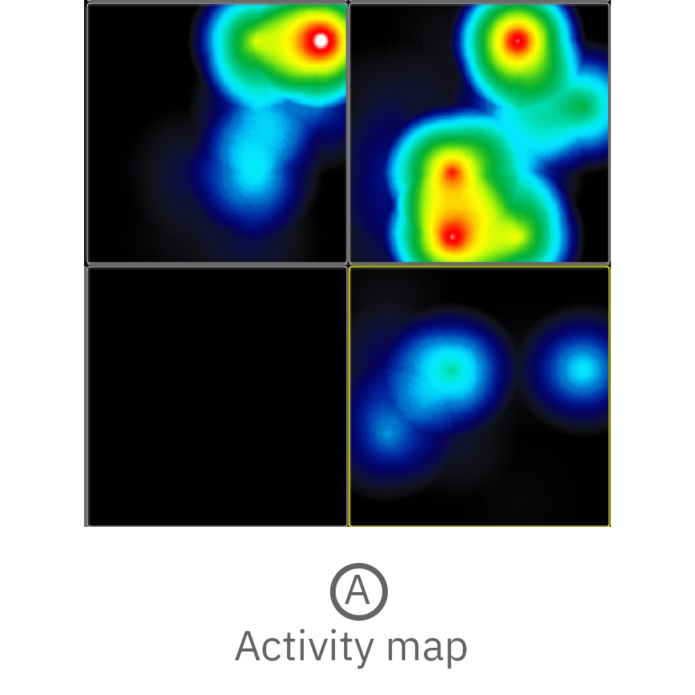 Activity map displaying instantaneous firing rate of four wells with multiple cerebral organoids in each well.