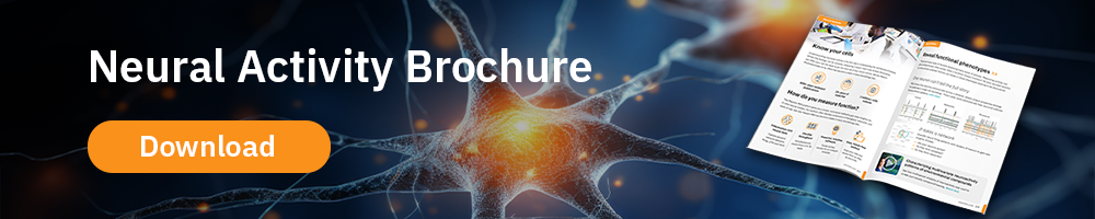 Neural Activity Brochure Banner