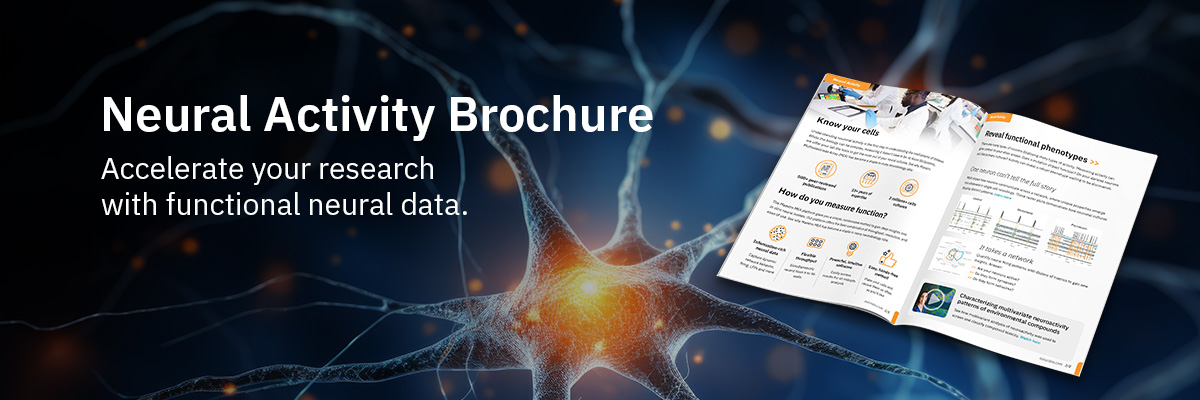 Neural Activity Brochure Header