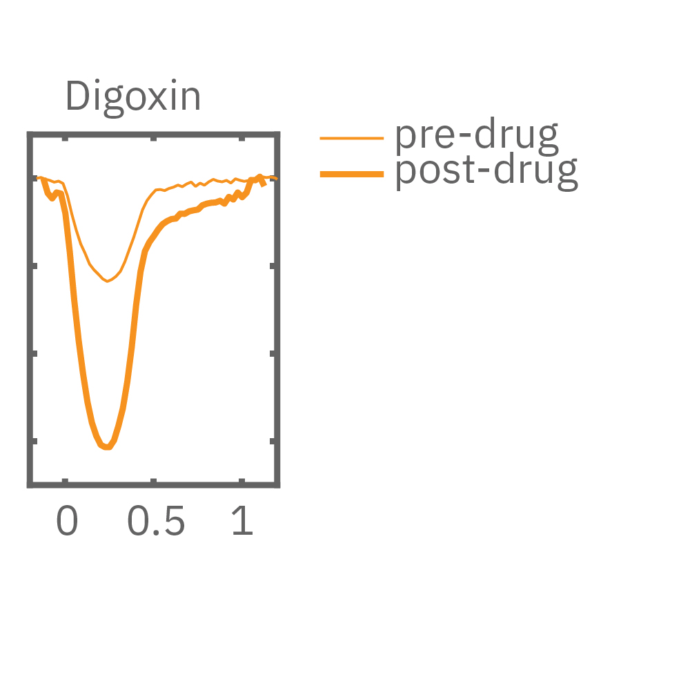 Paced cells exhibited a positive force-frequency relationship while non-paced showed a negative relationship