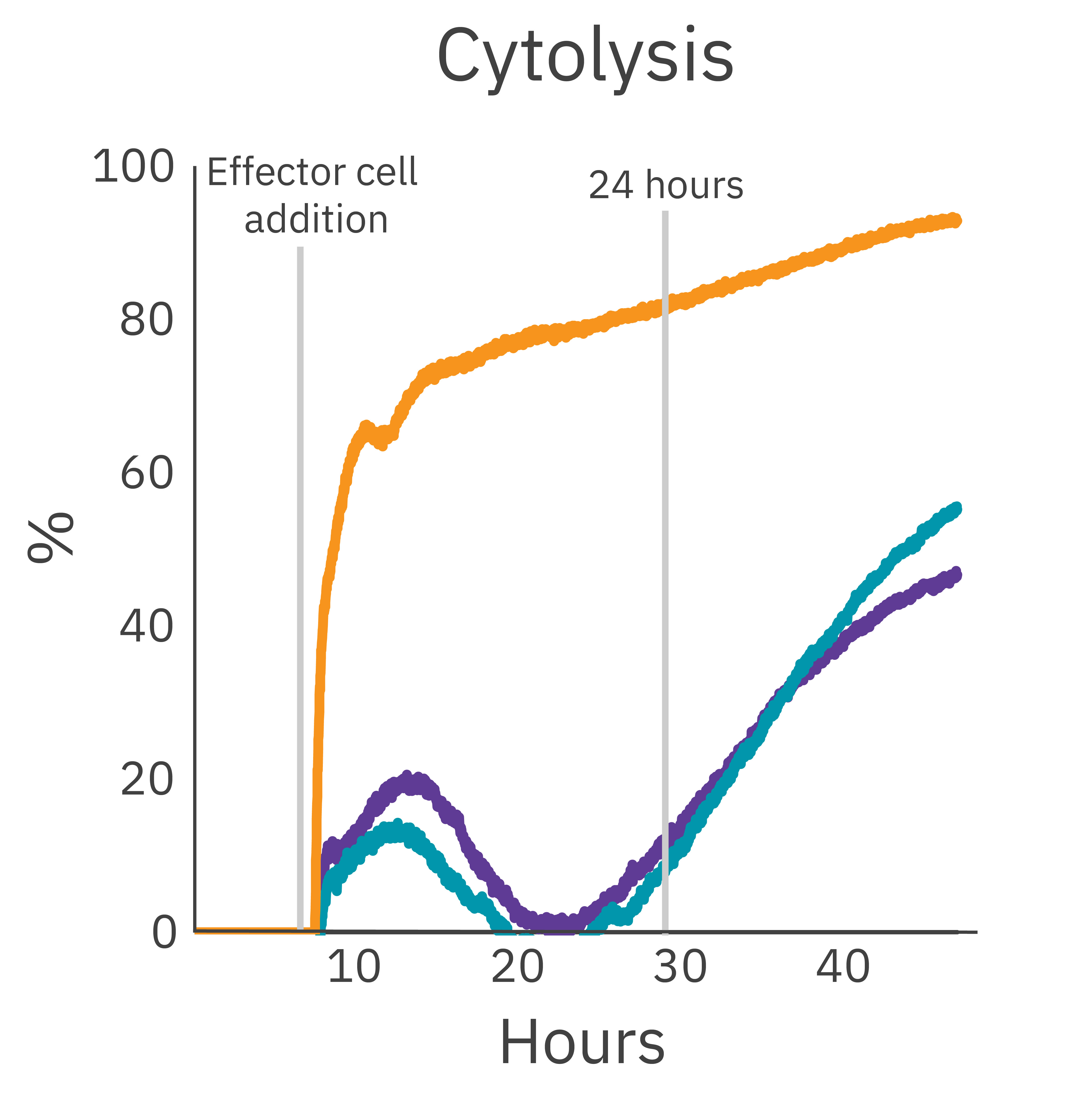 Cytolysis of HER2-expressing cancer cells by NK cells possessing HER2-targeting chimeric antigen receptor (CAR).