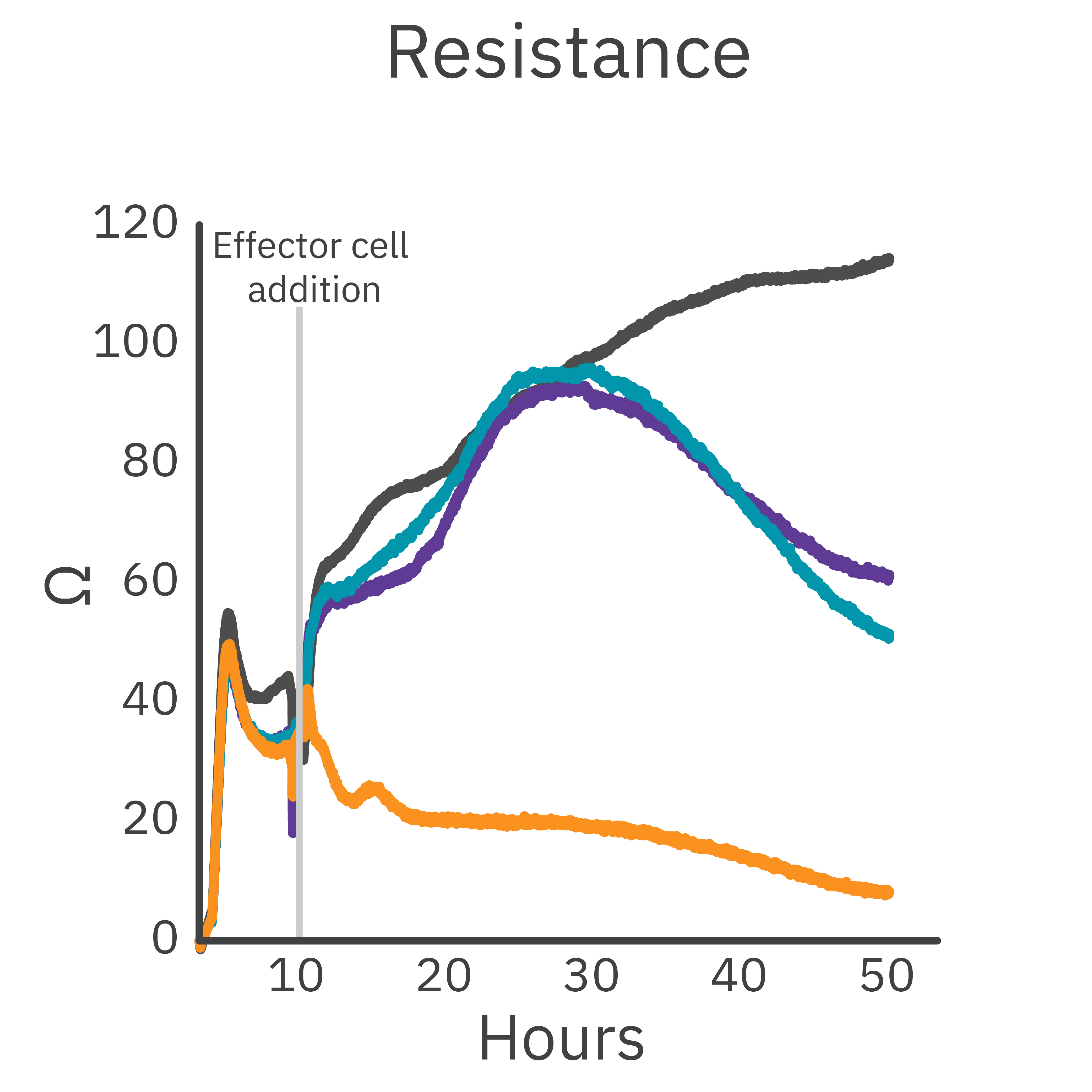 Cytolysis of HER2-expressing cancer cells by NK cells possessing HER2-targeting chimeric antigen receptor (CAR).