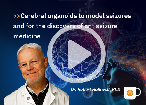 Cerebral organoids to model seizures