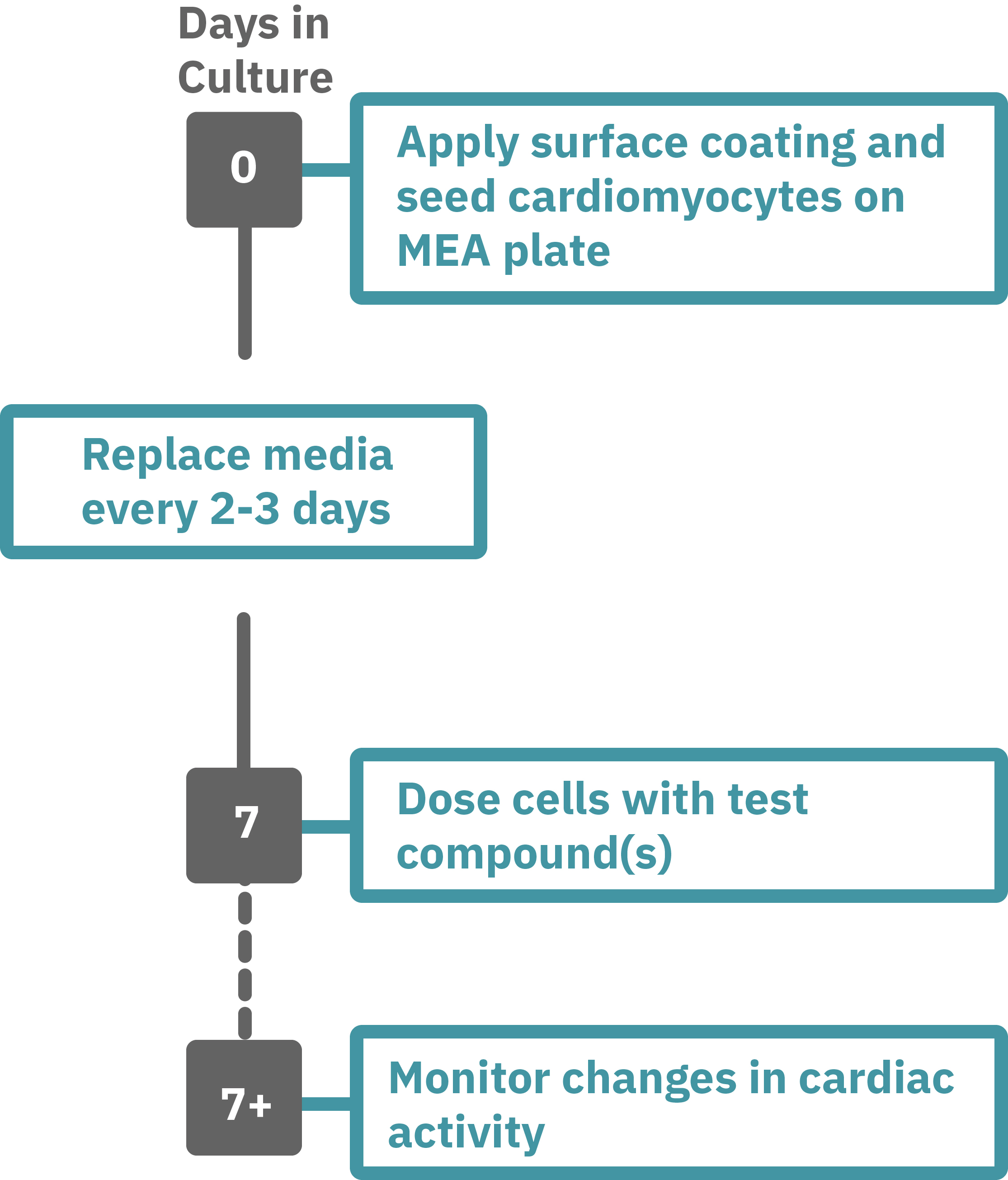 CiPA Cardiotox assay protocol steps