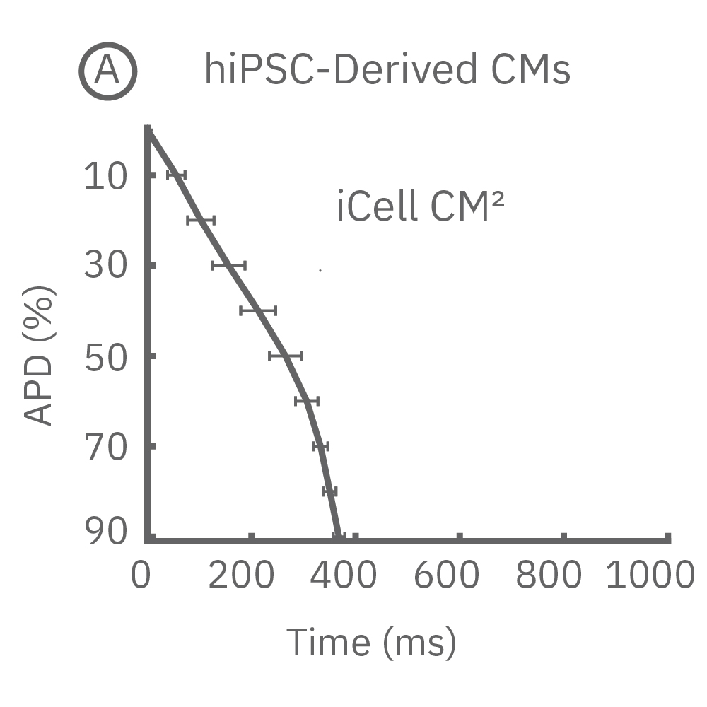 cardiac classification of APD across 90% of wells for iCell CM2