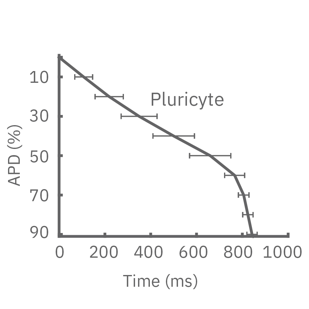 APD of Pluricyte CMs ADP