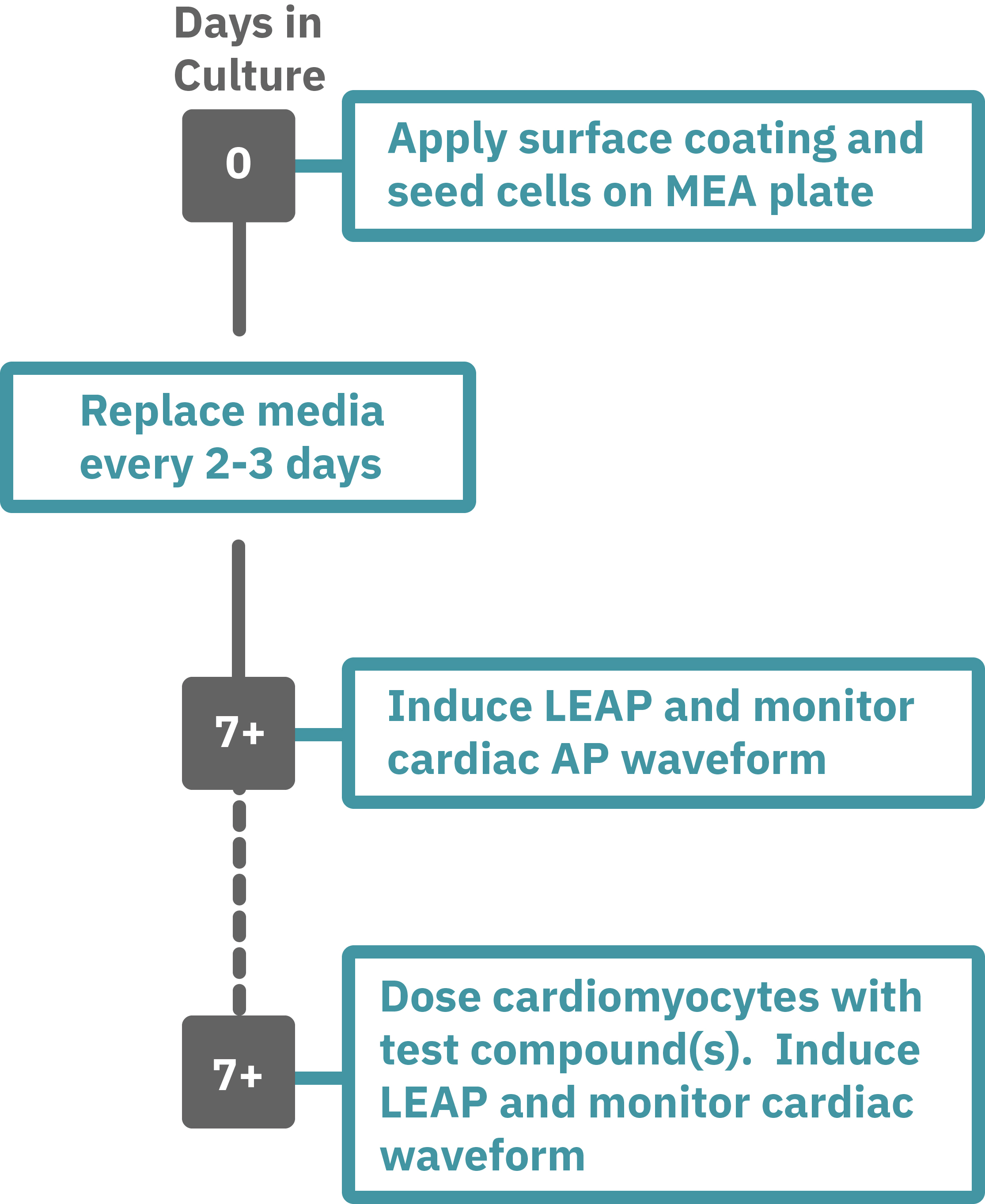 Cardiac classification assay protocol steps
