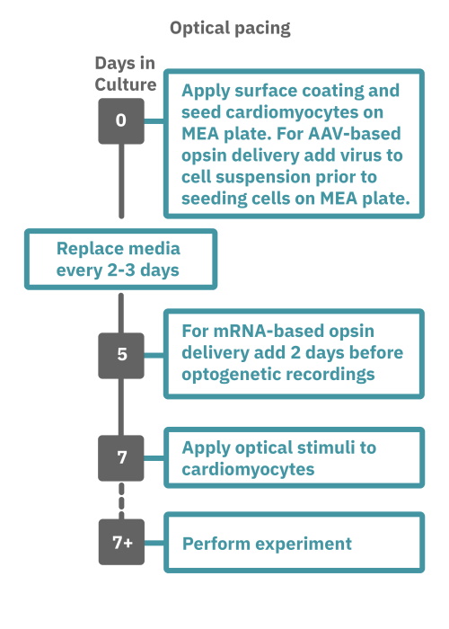 Cardiac optical pacing protocol