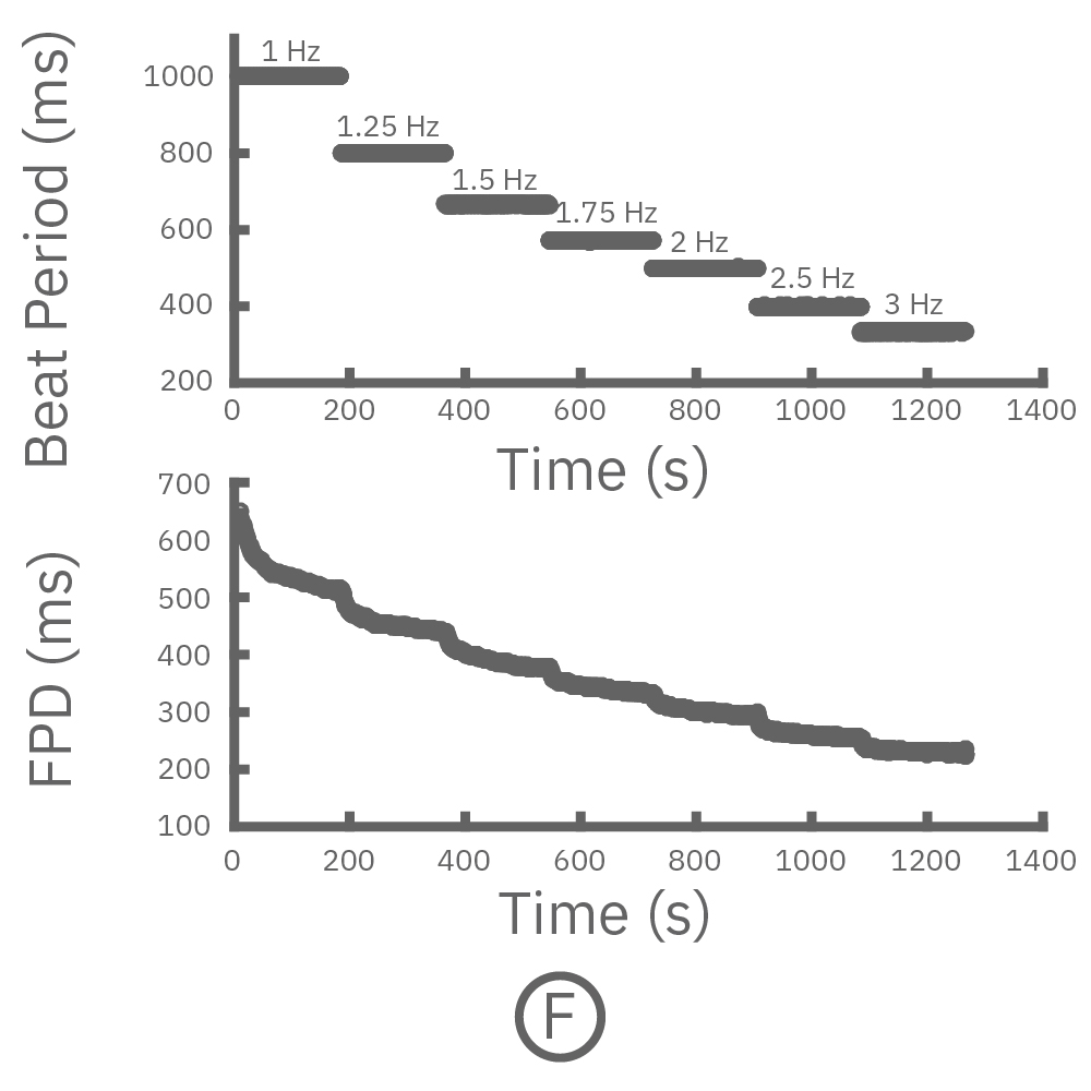 A "chirp" assay was used to sequentially increase the beat rate of Plyricyte Cardiomyocytes