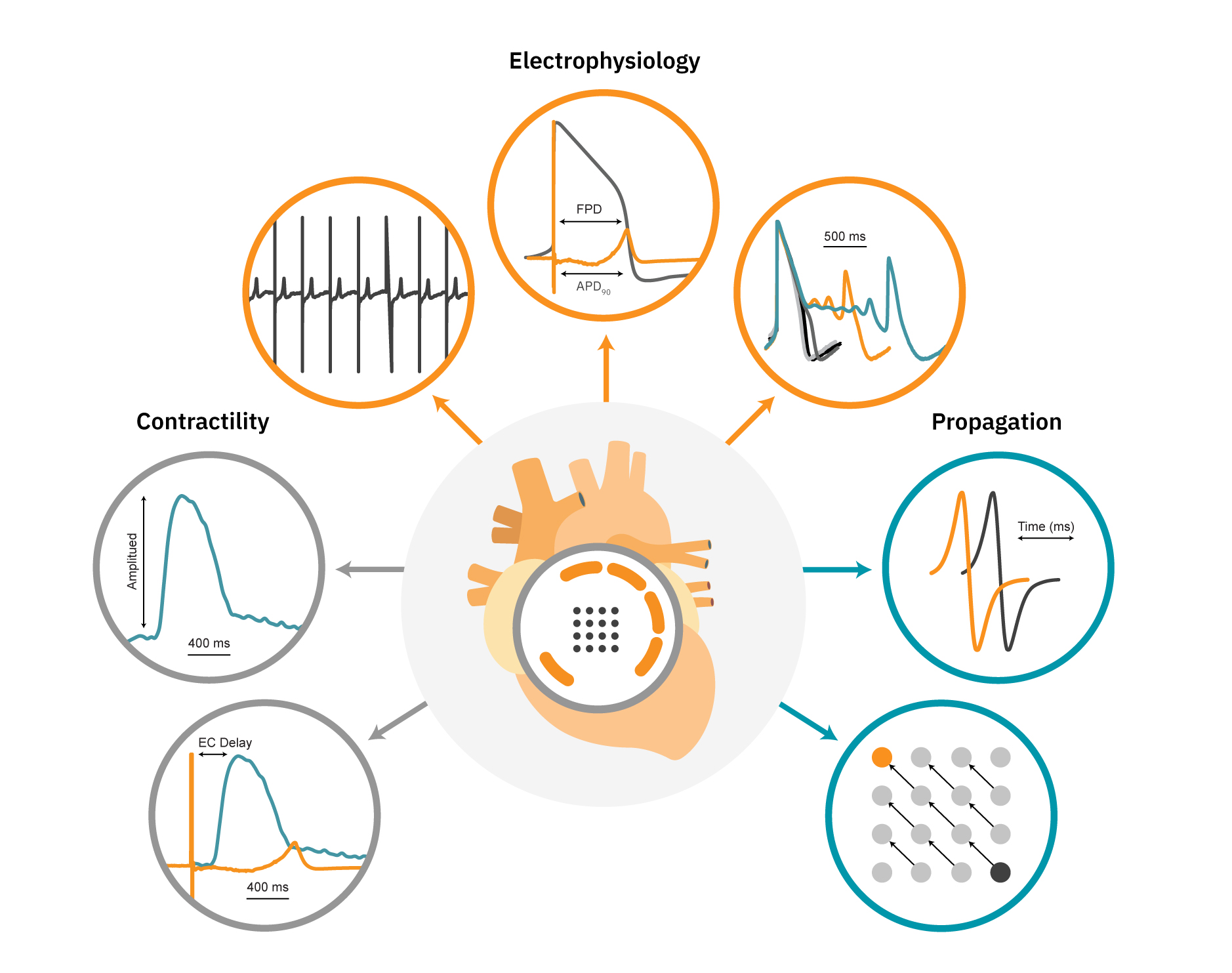 Neural Activity infographic