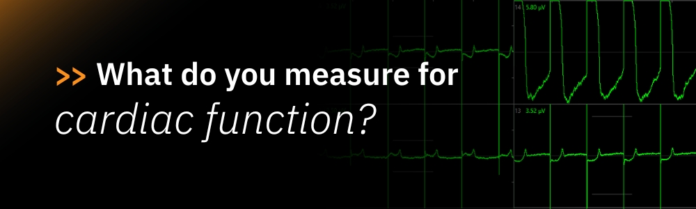 Cardiac Activity Insights