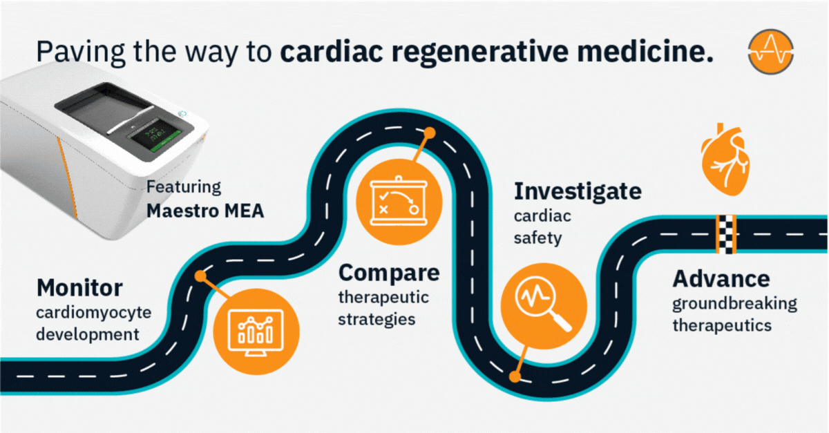 Cardiac Regenerative Process