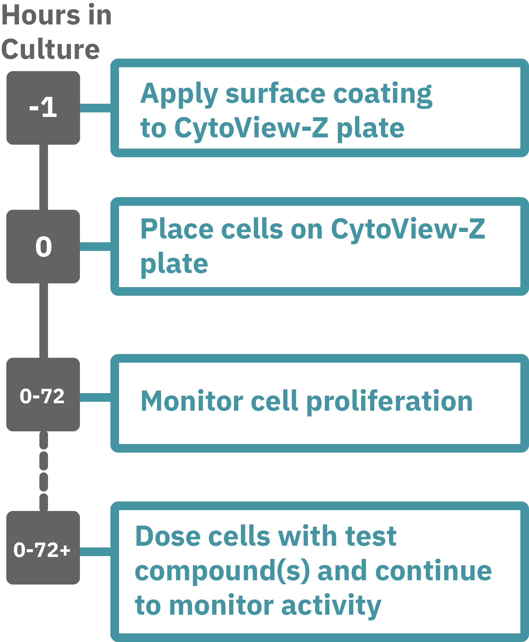 Cell proliferation assay protocol steps