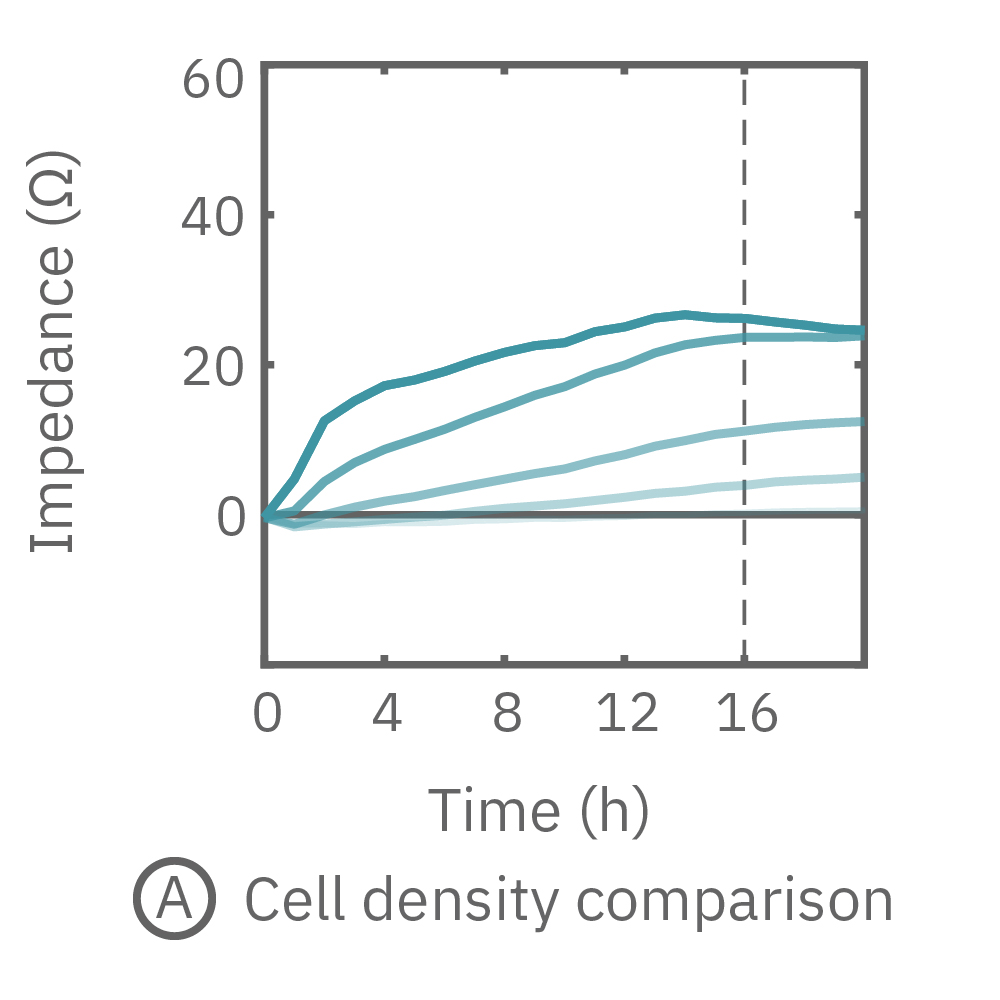 HeLa cells plated on a CytoView-Z plate at varying densities and monitored through proliferation.