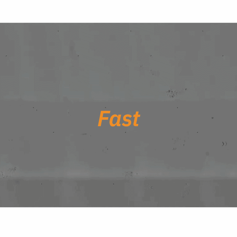 Clonogenic Assay Module GIF