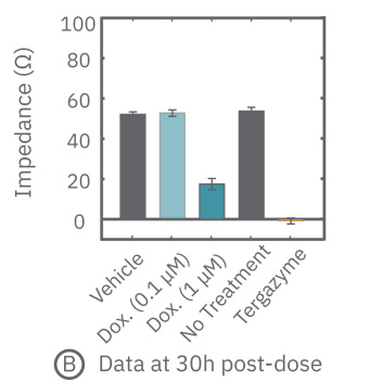 Evaluation of cell viability 30 post dosing of potentially cytotoxic drugs