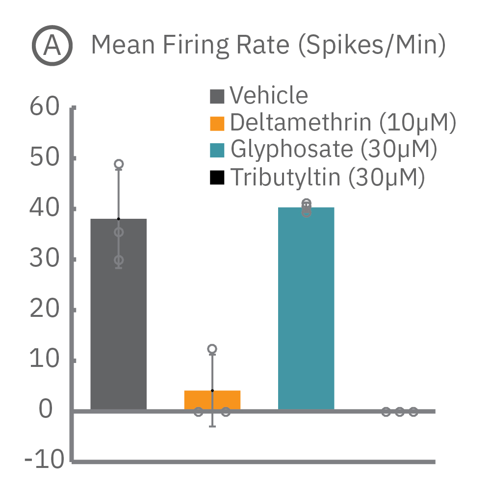 MEA electrophysiology for neurotoxicity assay