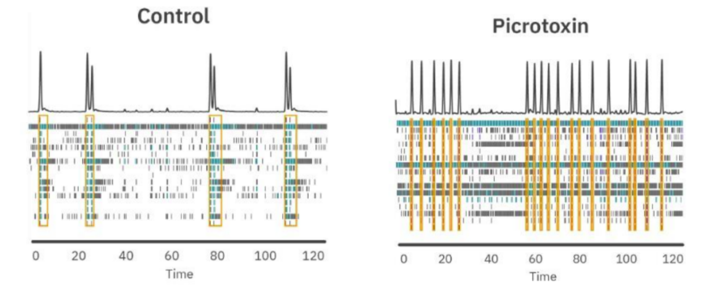Detect functional changes as they happen