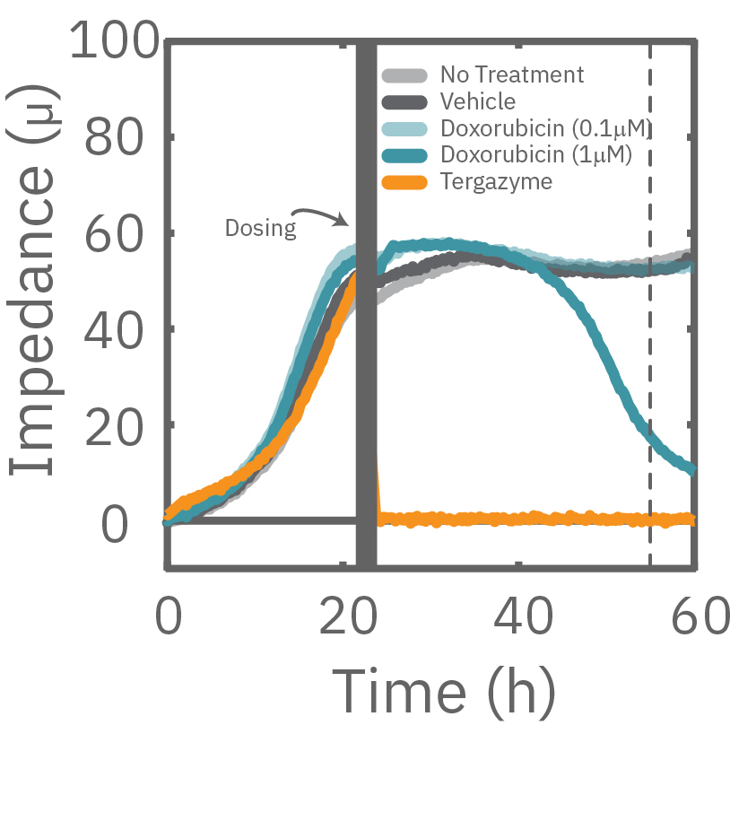 A549 were dosed with Doxorubicin, vehicle (DMSO), or Tergazyme. Wells dosed with Tergazyme showed an immediate decrease in impedance, reflecting complete cell death. 