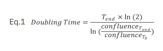 The doubling time was calculated for each cell type and each seeding density using equation 1 where T is time (hours)