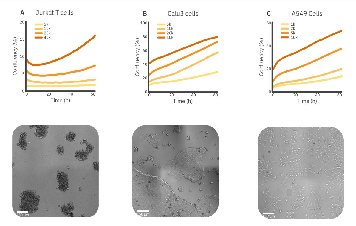 Comparison between the real-time confluency assay and the Alamar Blue end-point assay for serum starvation of A549 cells