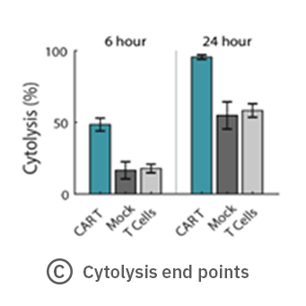 Percent cytolysis for CAR-T cells