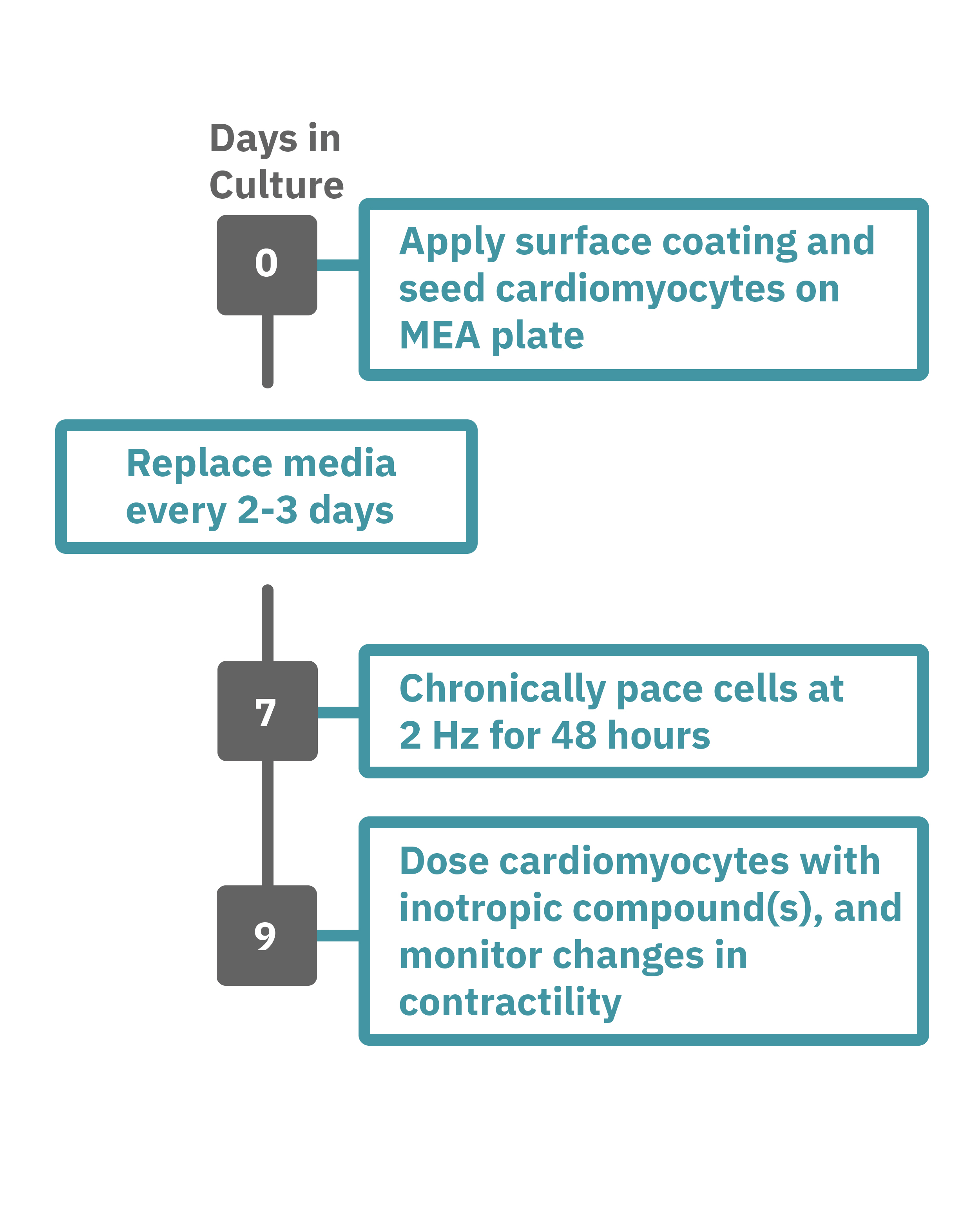 Inotropy or Contractility protocol