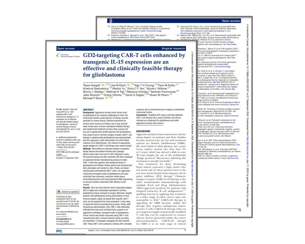 CAR T Cells Targeting