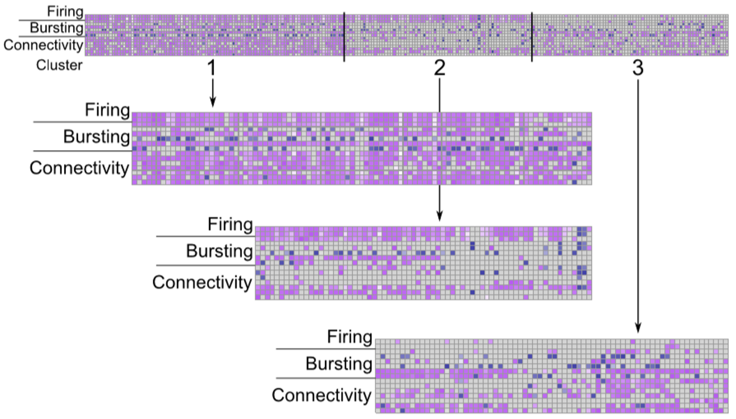 Multivariant analysis of a core 15 MEA parameters spanning firing, bursting, and network connectivity.