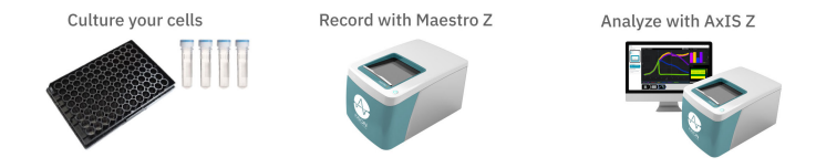 Maestro live-cell analysis system assay protocol