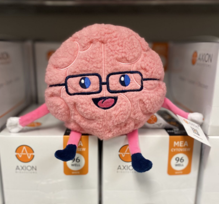 Mini Brain Plushie