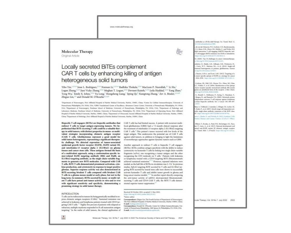 BiTEs compliment CAR T Cells