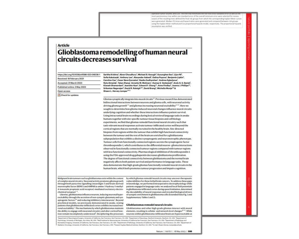 Glioblastoma Remodelling