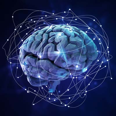 Neural Organoid Brain Image