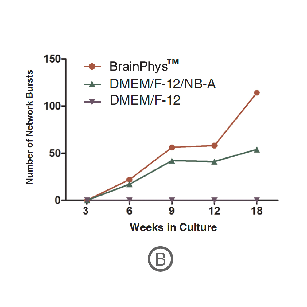 Network bursts were detected at week 6