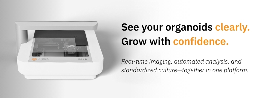 See your organoids clearly with Omni