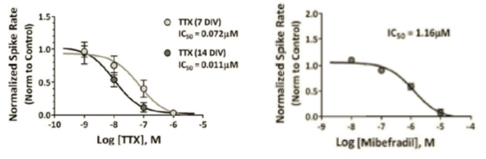 Ion Channel Activity