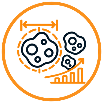 Colony growth and morphology icon