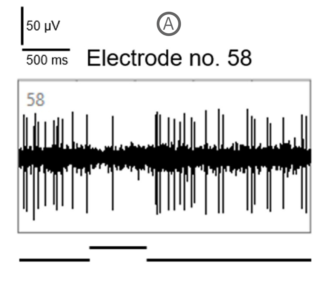 Spike activity from RGCs on electrode