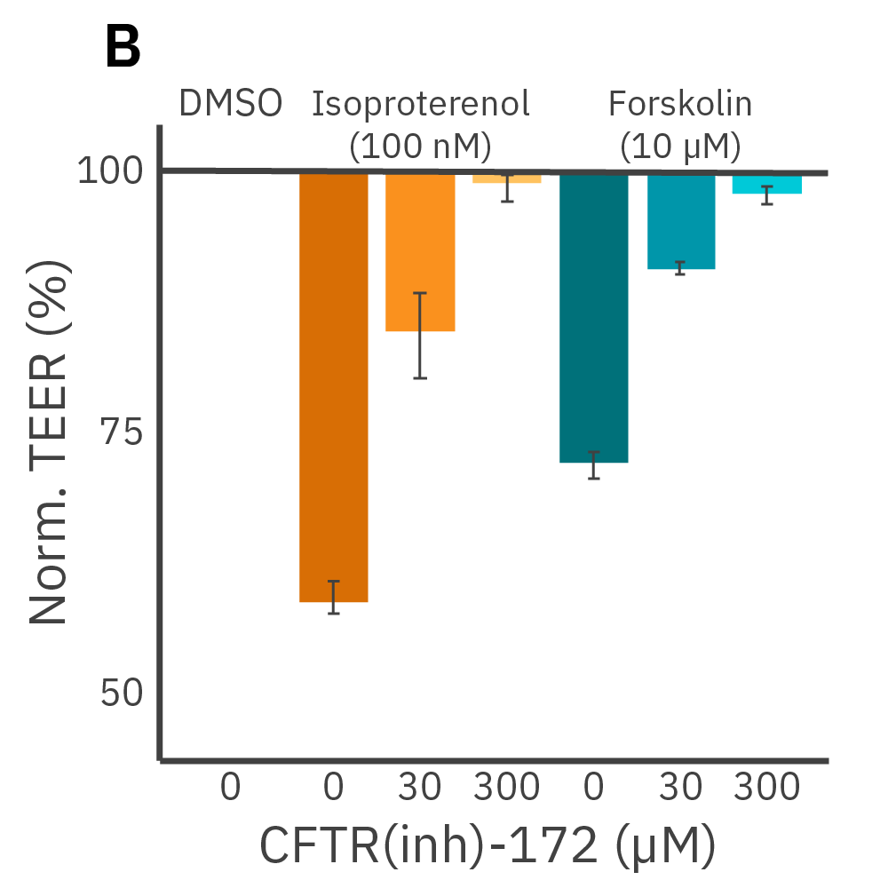 Measurements cconfirming CFTR as the mechanism for action for the change in TEER