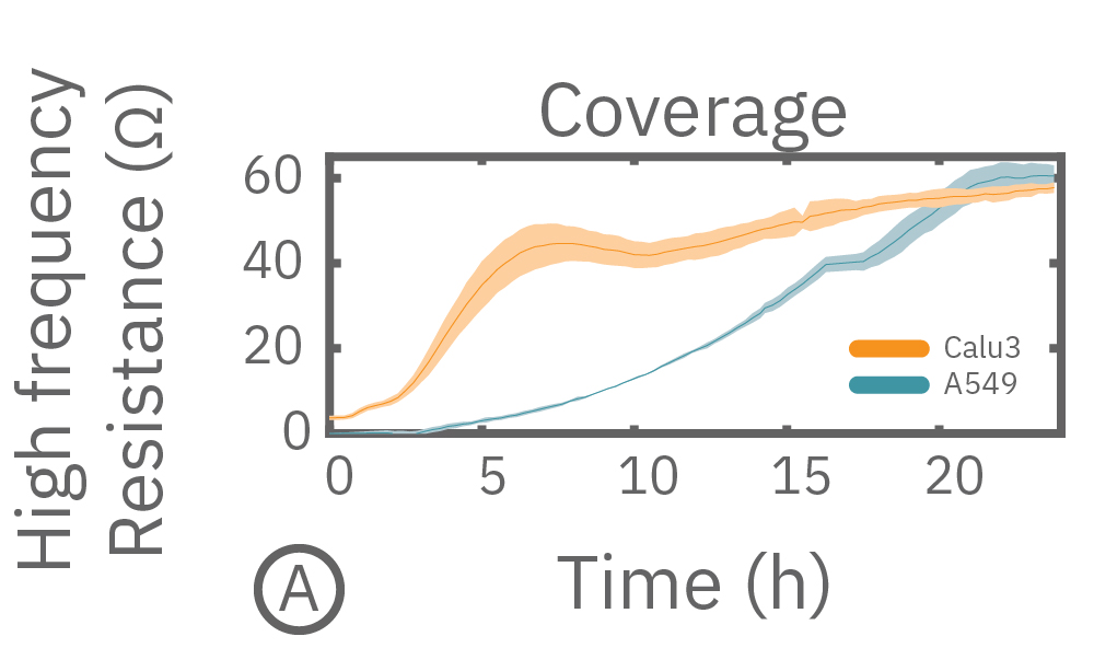 Measurement of TEER or impedance as cell coverage increases over time