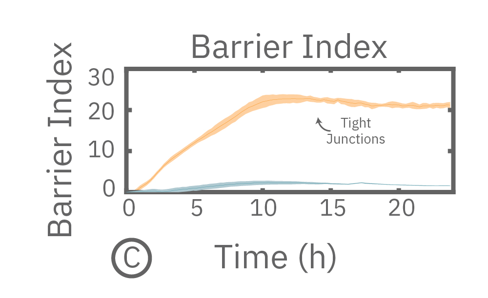 Barrier index