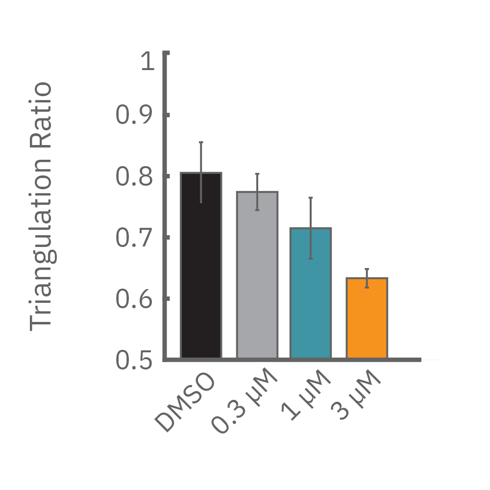 Terodiline induced triangulation at higher concentrations, consistent with patch clamp results.