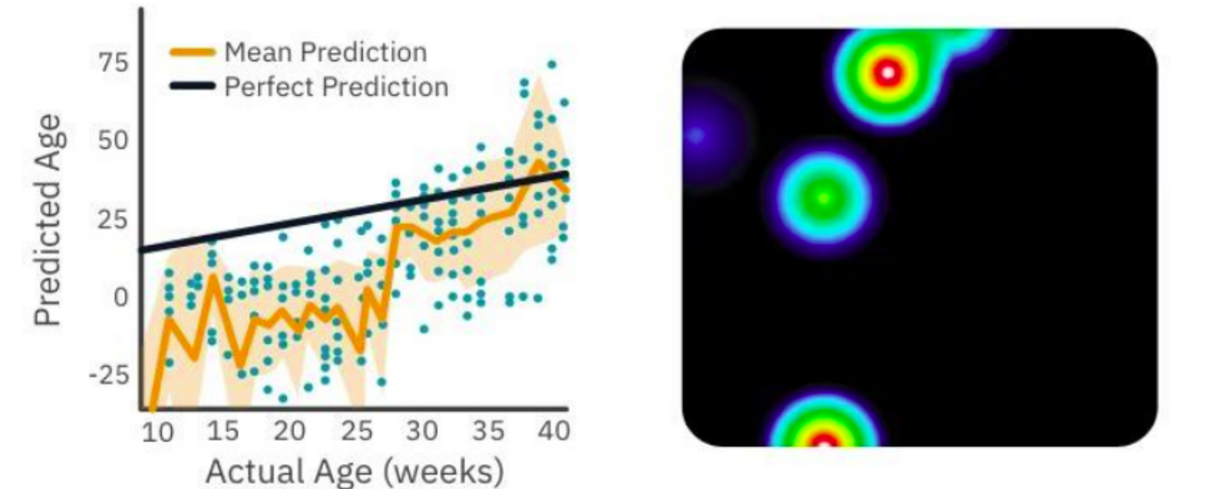 Track network activity over time