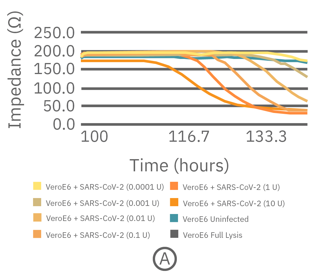 Vero E6 cells were seeded into a CytoView-Z 96 well plate and impedance was continuously monitored.