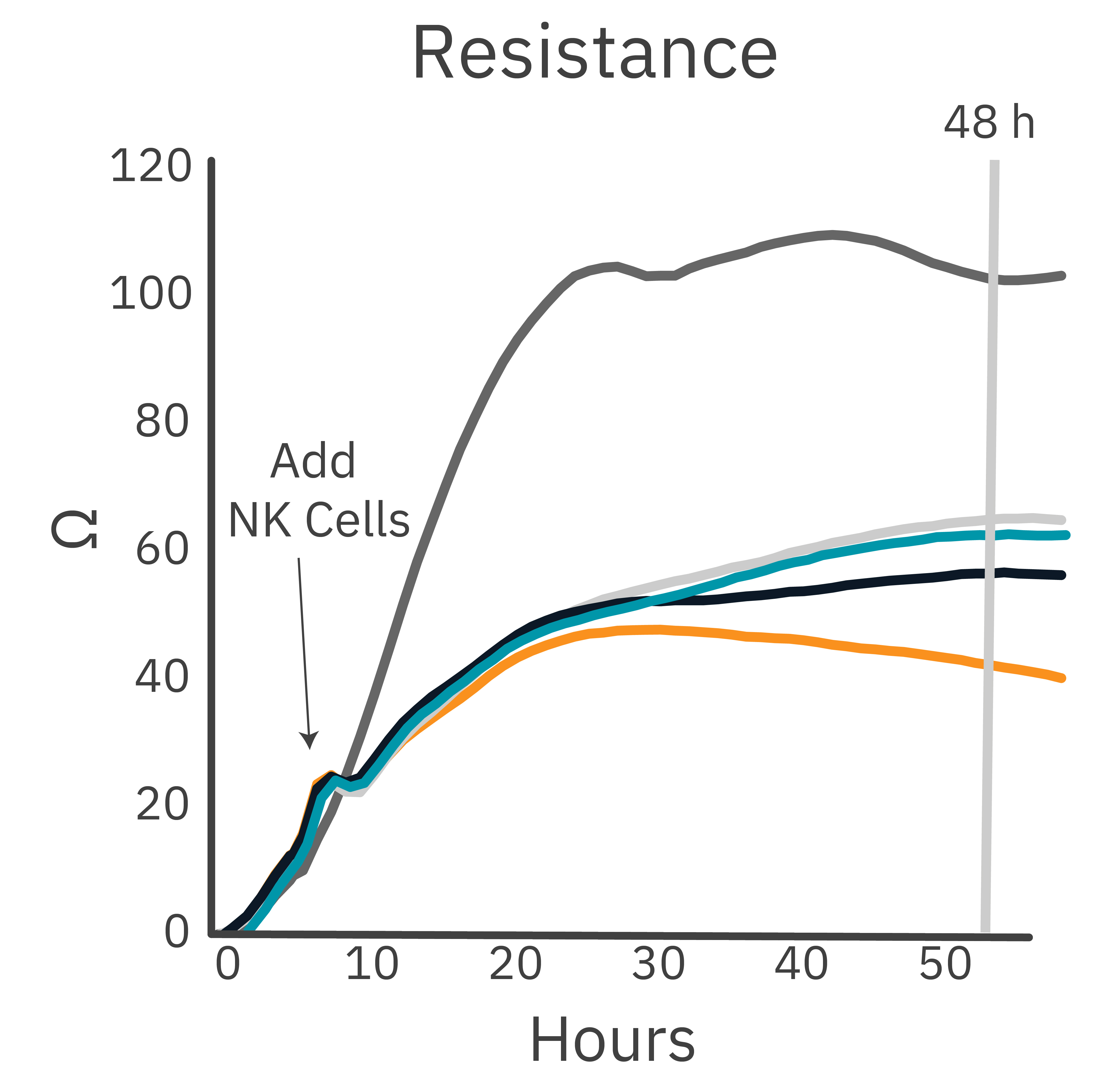 Trastuzumab promotes antibody-dependent NK cell killing of SKOV-3 target cells.