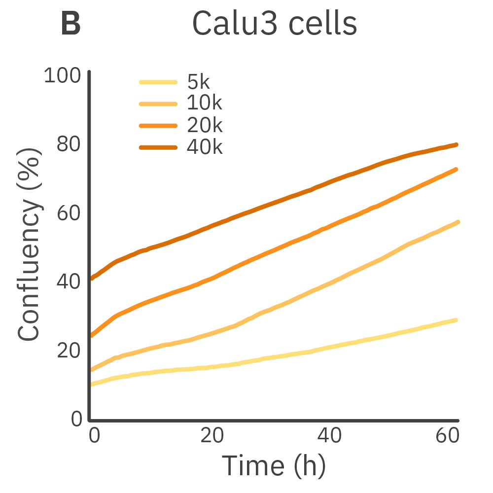Cell Proliferation Figure 2B