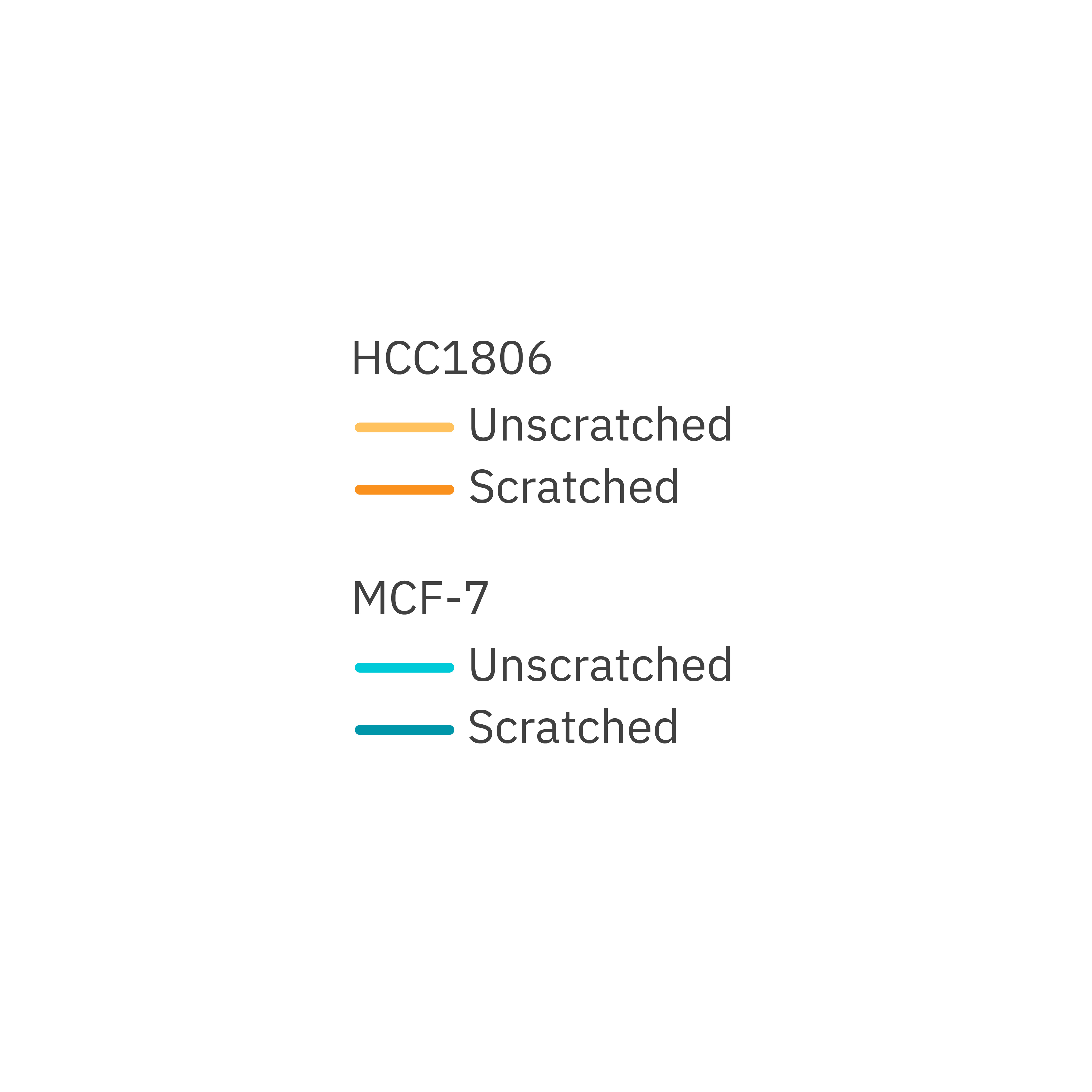 Two breast cancer cell lines were continuously monitored pre- and post-scratch induction; the impedance of HCC1806 cells nearly recovered to unscratched levels, whereas MCF-7 cells normalized impedance remained consistently low. 